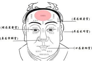 人中長代表什麼|面相人中长代表什么呢 人中长相讲解